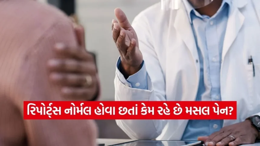 ન વિટામિનની કમી, ન હાડકાની બીમારી, તો કેમ થાય છે સ્નાયુમાં દુખાવો? જાણો અસલી કારણ 1 dharmishtha 1 41.jpg.webp