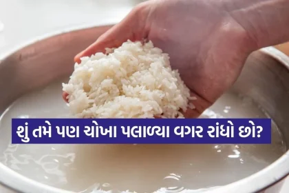 rice 1802.jpg.webp
