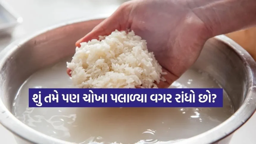 શું તમે પણ ચોખા પલાળ્યા વગર રાંધો છો? જાણો રાંધતા પહેલા ચોખાને કેટલી મિનિટ પલાળવા જોઈએ. 1 rice 1802.jpg.webp