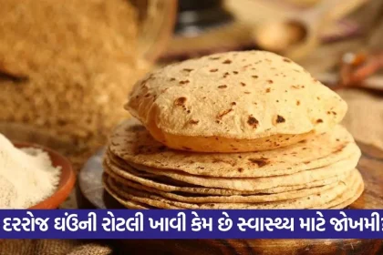 roti.jpg.webp