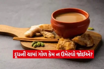 tea.jpg.webp