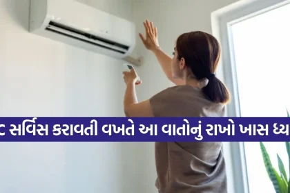 1773406447 Copy of Satya web temp 37.jpg.webp