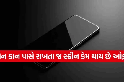 1773579774 Copy of Satya web temp 44.jpg.webp