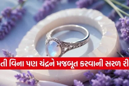1773695462 Copy of Satya web temp 30.jpg.webp