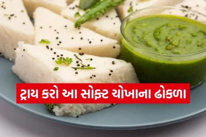 1773753392 Copy of Satya web temp 27.jpg.webp