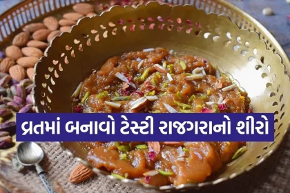 1773897930 Copy of Satya web temp 9.jpg.webp