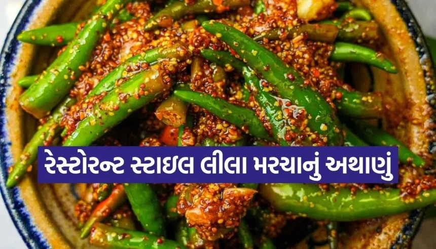 પરાઠાનો સ્વાદ થઈ જશે બમણો, જ્યારે થાળીમાં હશે આ ‘ઇન્સ્ટન્ટ’ લીલા મરચાનું અથાણું 1 1774070905 Copy of Satya web temp 29.jpg.webp