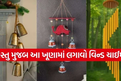 1774243868 Copy of Satya web temp 7.jpg.webp