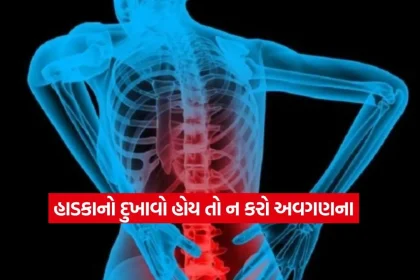 BONE21.jpg.webp