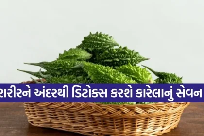Bitter Gourd 2502.jpg.webp