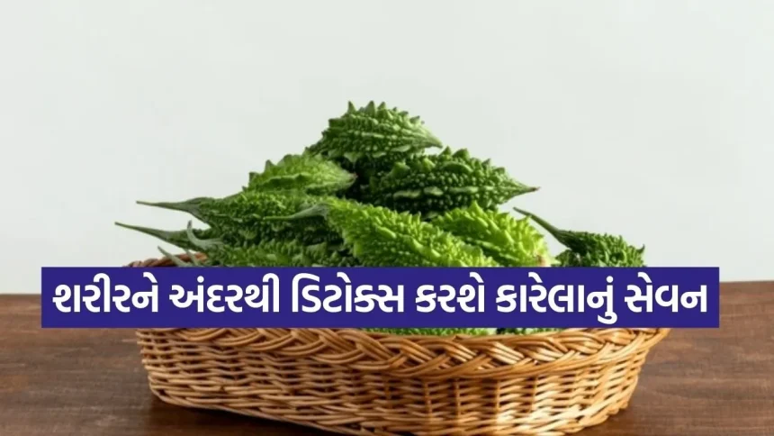 કારેલા – ઉનાળામાં શરીરને ઠંડક આપવાની સાથે લિવર અને ત્વચા માટે છે શ્રેષ્ઠ ઔષધિ 1 Bitter Gourd 2502.jpg.webp