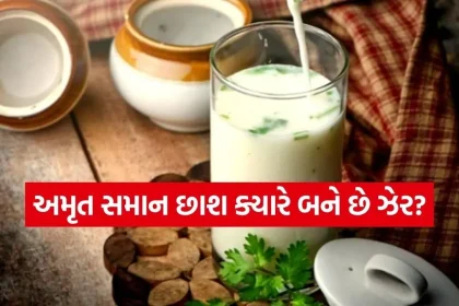 Buttermilk 2003.jpg.webp