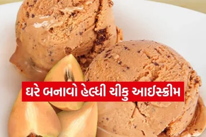 Chikoo ice cream 2003.jpg.webp