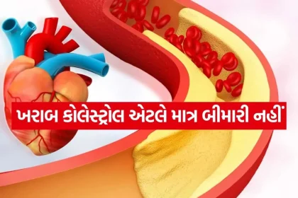 Cholesterol 0703.jpg.webp