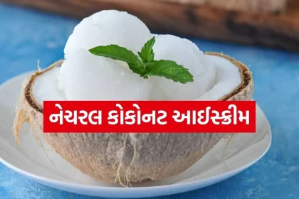 Coconut ice cream 2203.jpg.webp