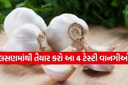 Copy of Satya web temp 17.jpg.webp