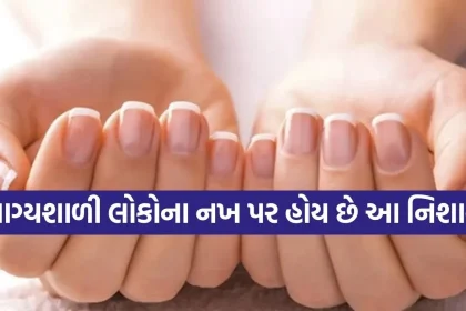 Copy of Satya web temp 2026 03 11T143903.190.jpg.webp
