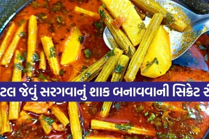 Copy of Satya web temp 2026 03 11T195505.093.jpg.webp
