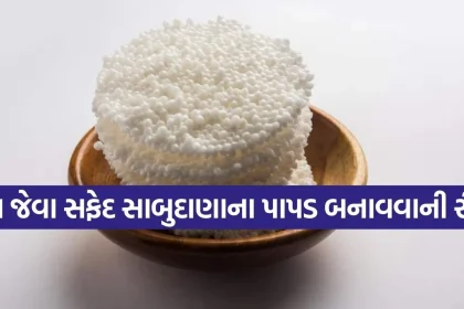Copy of Satya web temp 38.jpg.webp