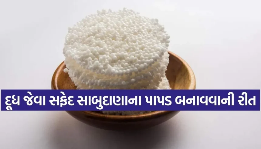 બજાર જેવા સફેદ સાબુદાણાના પાપડ હવે ઘરે બનાવો, જાણો ફાટ્યા વગર પાપડ બનાવવાની સિક્રેટ રીત 1 Copy of Satya web temp 38.jpg.webp
