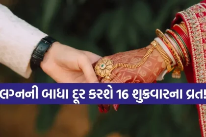 Copy of Satya web temp 45.jpg.webp