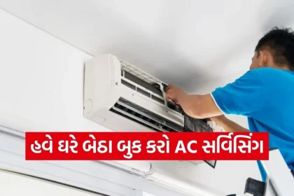 Copy of Satya web temp 6.jpg.webp