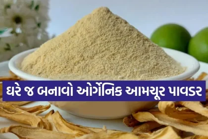 Copy of Satya web temp 7.jpg.webp