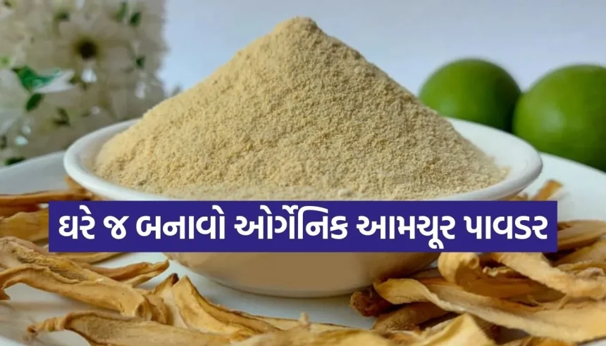 Copy of Satya web temp 7.jpg.webp