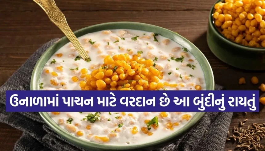 કાળઝાળ ગરમીમાં પેટને મળશે બરફ જેવી ઠંડક! મિનિટોમાં આ રીતે બનાવો ટેસ્ટી બુંદીનું રાયતું 1 Copy of Satya web temp 90.jpg.webp