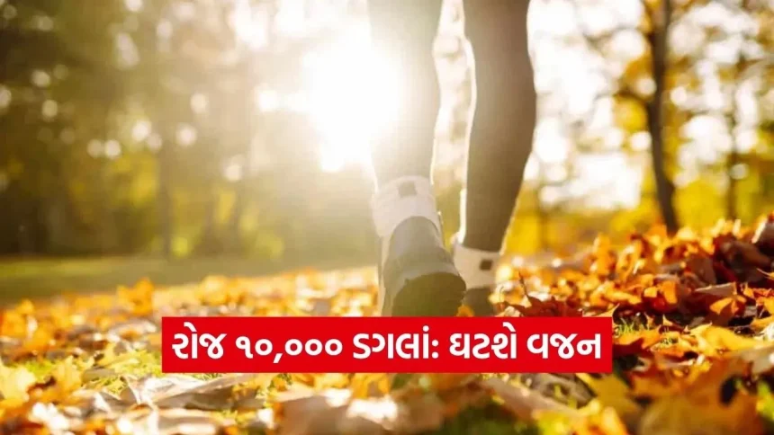 “ન ડાયેટ, ન એક્સરસાઇઝ: માત્ર 3 મહિના રોજ ચાલો 10,000 ડગલાં અને જુઓ વજનમાં જબરદસ્ત ઘટાડો” 1 Dharmishtha 10.jpg.webp
