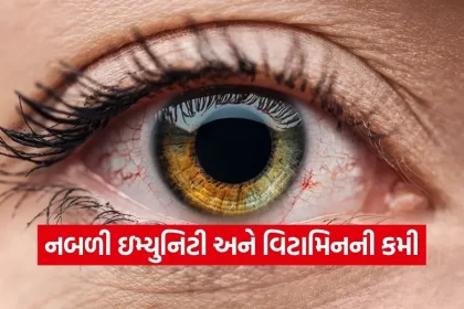 Dharmishtha 13.jpg.webp