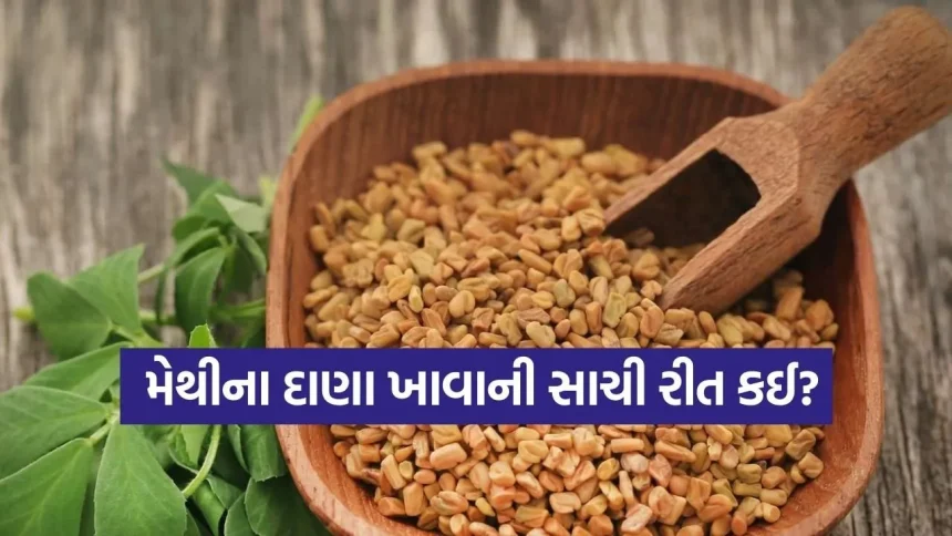 “વેટ લોસથી લઈને ગ્લોઈંગ સ્કીન સુધી”: જાણો મેથીના દાણાને પાણીમાં પલાળીને ખાવાની સાચી રીત 1 Fenugreek 0703.jpg.webp