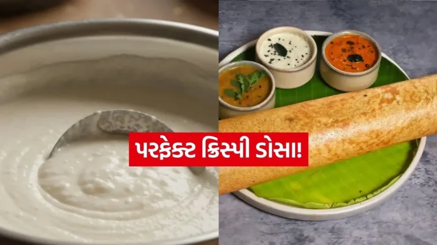 હોટેલ જેવો જ ક્રિસ્પી ડોસો હવે બનાવો ઘરે: જાણો પરફેક્ટ બેટર બનાવવાની રીત 1 INDIA 1 2026 03 14T093120.697.jpg.webp