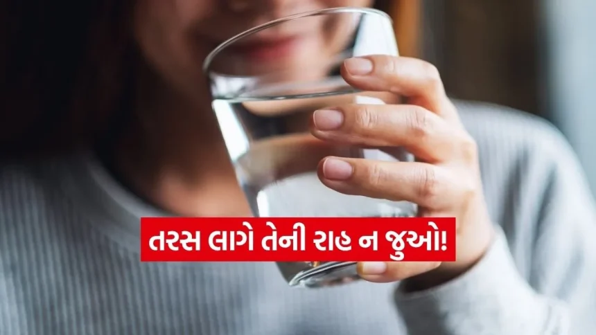 ચેતવણી! જો તમે ઓછું પાણી પીતા હોવ તો શરીર આપશે આ 5 ગંભીર સંકેતો, નજરઅંદાજ કરવા પડી શકે છે ભારે 1 INDIA 1 2026 03 25T110535.072.jpg.webp