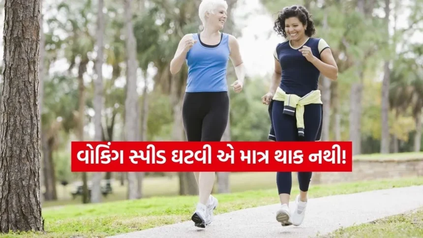 ધીમું ચાલવાની આદત છે ખતરનાક! તમારું હૃદય આપી રહ્યું છે આ ગંભીર સંકેત, આજે જ થઈ જાવ સતર્ક 1 INDIA 1 2026 03 25T122602.271.jpg.webp