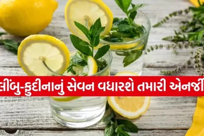 Lemon 2503.jpg.webp