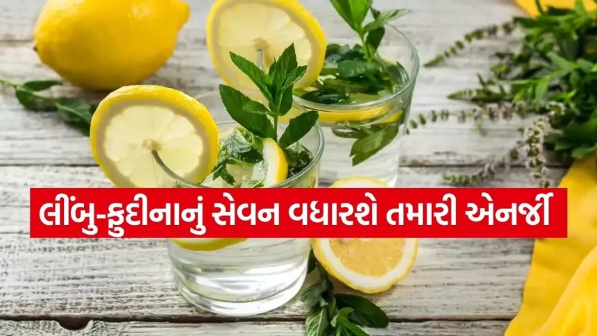 Lemon 2503.jpg.webp