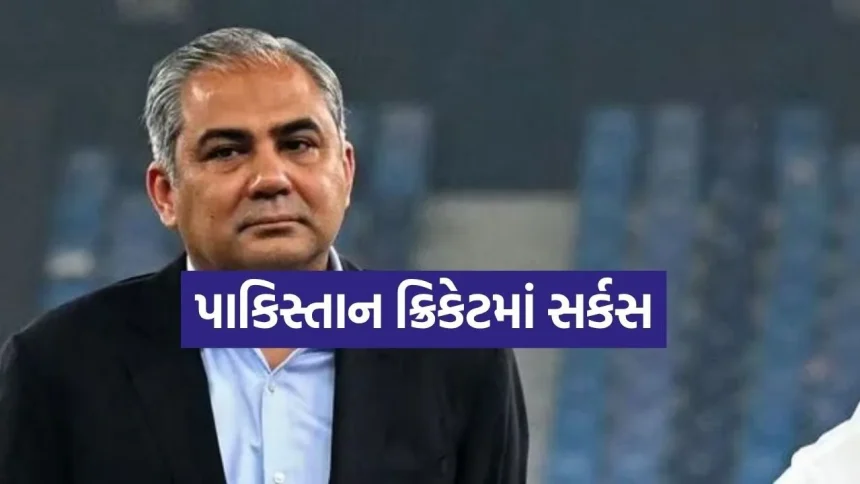 ‘પાકિસ્તાન ક્રિકેટમાં ફક્ત દખલગીરી અને ઘોંઘાટ જ છે’; ગેરી કર્સ્ટને PCB ના ચેરમેન અને સિસ્ટમ સામે બાંયો ચડાવી 1 Mohsin Naqvi 2103.jpg.webp