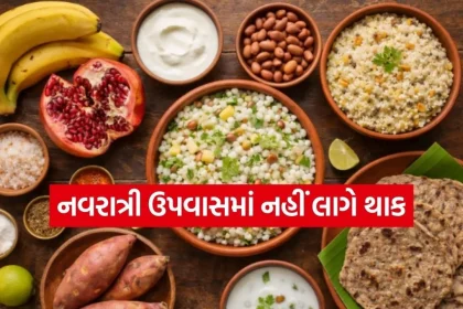 Navratri 1803.jpg.webp
