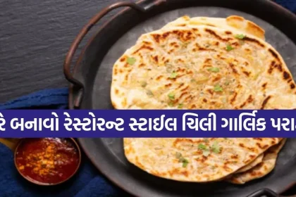 Paratha 2503.jpg.webp