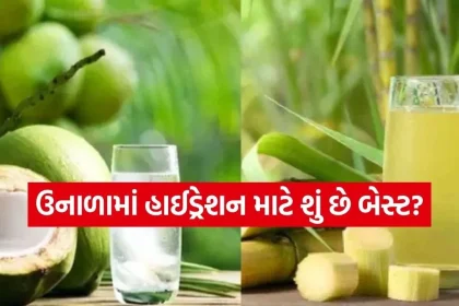 Sugarcane juice 2003.jpg.webp