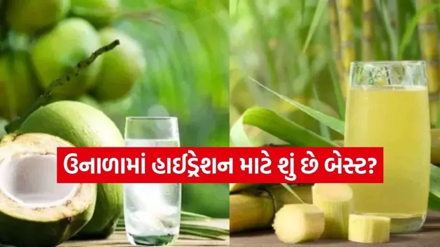 શેરડીનો રસ કે નારિયેળ પાણી? હાઇડ્રેશન અને એનર્જી માટે શું છે બેસ્ટ 1 Sugarcane juice 2003.jpg.webp