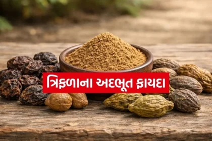 Triphala 3003.jpg.webp