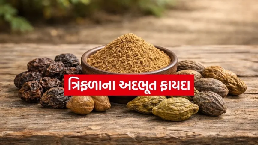 Triphala 3003.jpg.webp