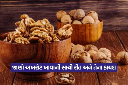 Walnut 2608.jpg.webp