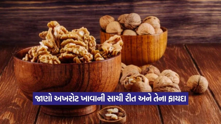 અખરોટને કેવી રીતે ખાવા જોઈએ? પલાળીને કે કાચા – અખરોટ ખાવાની સાચી રીત કઈ છે? 1 Walnut 2608.jpg.webp