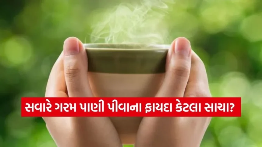 ખાલી પેટે નવશેકું પાણી પીવું કેમ છે સ્વાસ્થ્ય માટે વરદાન? 1 Water 1102.jpg.webp