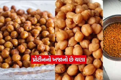 chana23.jpg.webp