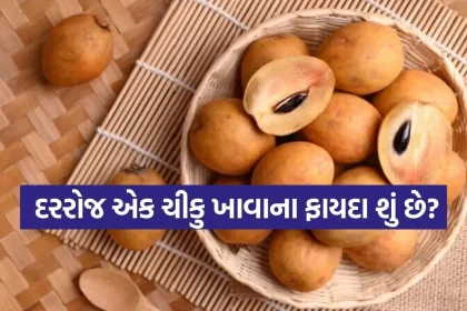 chikoo 0603.jpg.webp