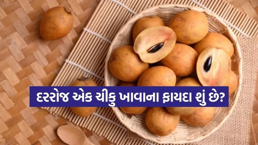 chikoo 0603.jpg.webp